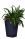 Rattan planter M - grafit